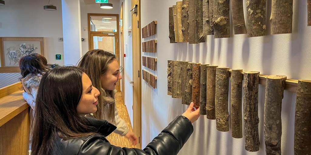 Study Visit in Slovenia